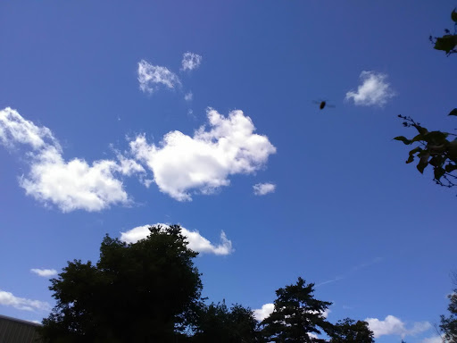 Home Goods Store «Dollar General», reviews and photos, 2649 Main St, Whitney Point, NY 13862, USA