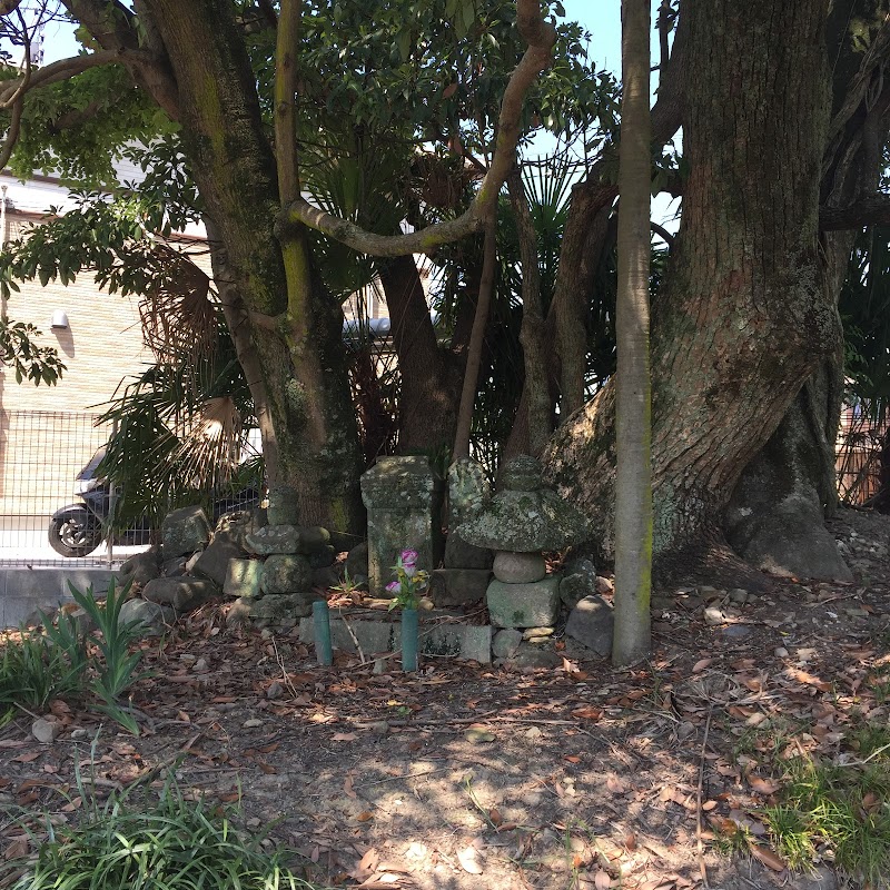 道金さん(鎮西八郎)の墓