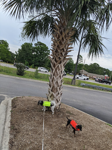 Pet Supply Store «PetSmart», reviews and photos, 5226 S College Rd, Wilmington, NC 28412, USA
