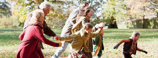 Whole Family Chiropractors