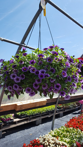 Pet Supply Store «Country Acres Farm & Pet Center», reviews and photos, 730 Saratoga Rd, Burnt Hills, NY 12027, USA