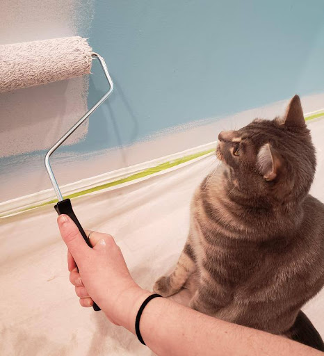 Paint Store «Lebanon Paint & Decorating», reviews and photos, 51 Main St, West Lebanon, NH 03784, USA