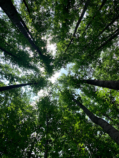 Disc Golf Course «Scarboro Hills Disc Golf Course», reviews and photos, 3130 Sandy Hook Rd, Street, MD 21154, USA