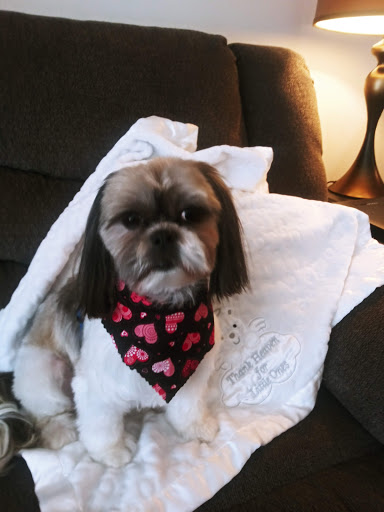 Pet Supply Store «Pet Supplies Plus», reviews and photos, 702 W Northland Ave, Appleton, WI 54914, USA