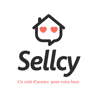 Sellcy Immobilier à Grenoble