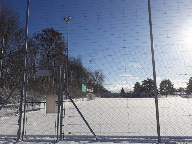 Rezensionen über Sportplatz Hönggerberg in Mendrisio - Sportstätte