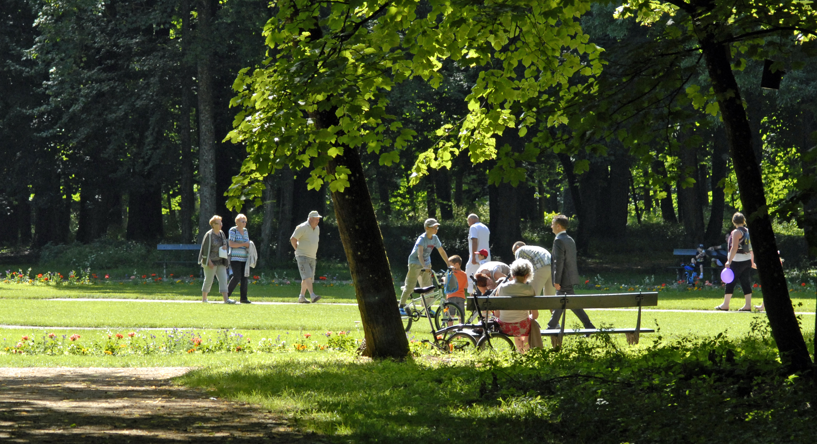 Photo n° 6 de l'avis de Jean.i fait le 18/02/2017 à 06:47