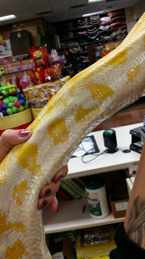 Pet Supply Store «Pet Supermarket», reviews and photos, 2924 13th St, St Cloud, FL 34769, USA