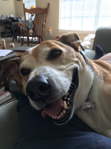 Pet Supply Store «Chuck & Don’s Pet Food & Supplies», reviews and photos, 8115 Wedgewood Ln N #1, Maple Grove, MN 55369, USA