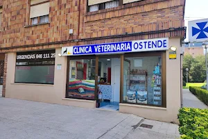 Veterinary Clinic Ostende image