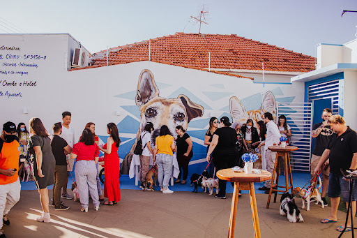 Essence Pet - Clínica Veterinária em Araraquara - SP