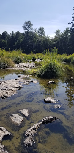 Golf Course «Cedar Bend Golf Course», reviews and photos, 34391 Cedar Valley Dr, Gold Beach, OR 97444, USA