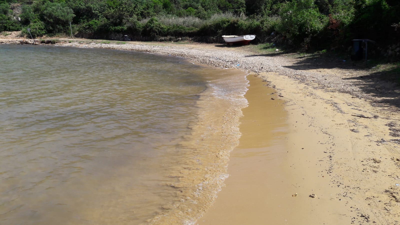 Fotografija Maslinica beach z turkizna čista voda površino