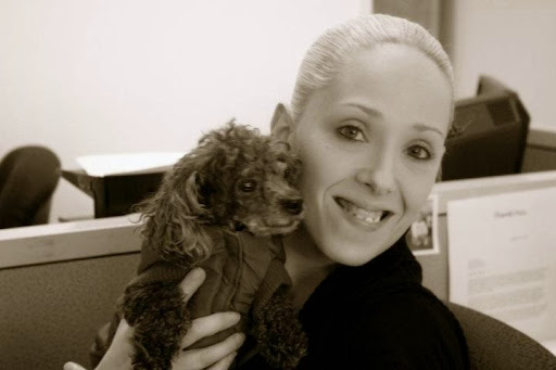 Auto Insurance Agency «A-Affordable Insurance Agency, Inc.», reviews and photos