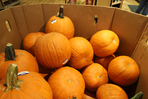 Grocery Store «Food Lion», reviews and photos, 377 W Jackson St, Cookeville, TN 38501, USA