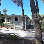 Photo n°19 de l'avis de Roberto.a fait le 09/07/2022 à 22:19 sur le  C.S.A. Hotel-Beach-Park à Marina di Bibbona