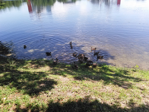 Stadium «Camping World Stadium», reviews and photos, 1 Citrus Bowl Pl, Orlando, FL 32805, USA