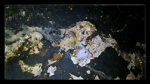 Golf Club «Bellair Golf Club», reviews and photos, 17233 N 45th Ave, Glendale, AZ 85308, USA