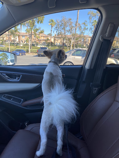 Pet Supply Store «PetSmart», reviews and photos, 30515 Av. de Las Flores, Rancho Santa Margarita, CA 92688, USA