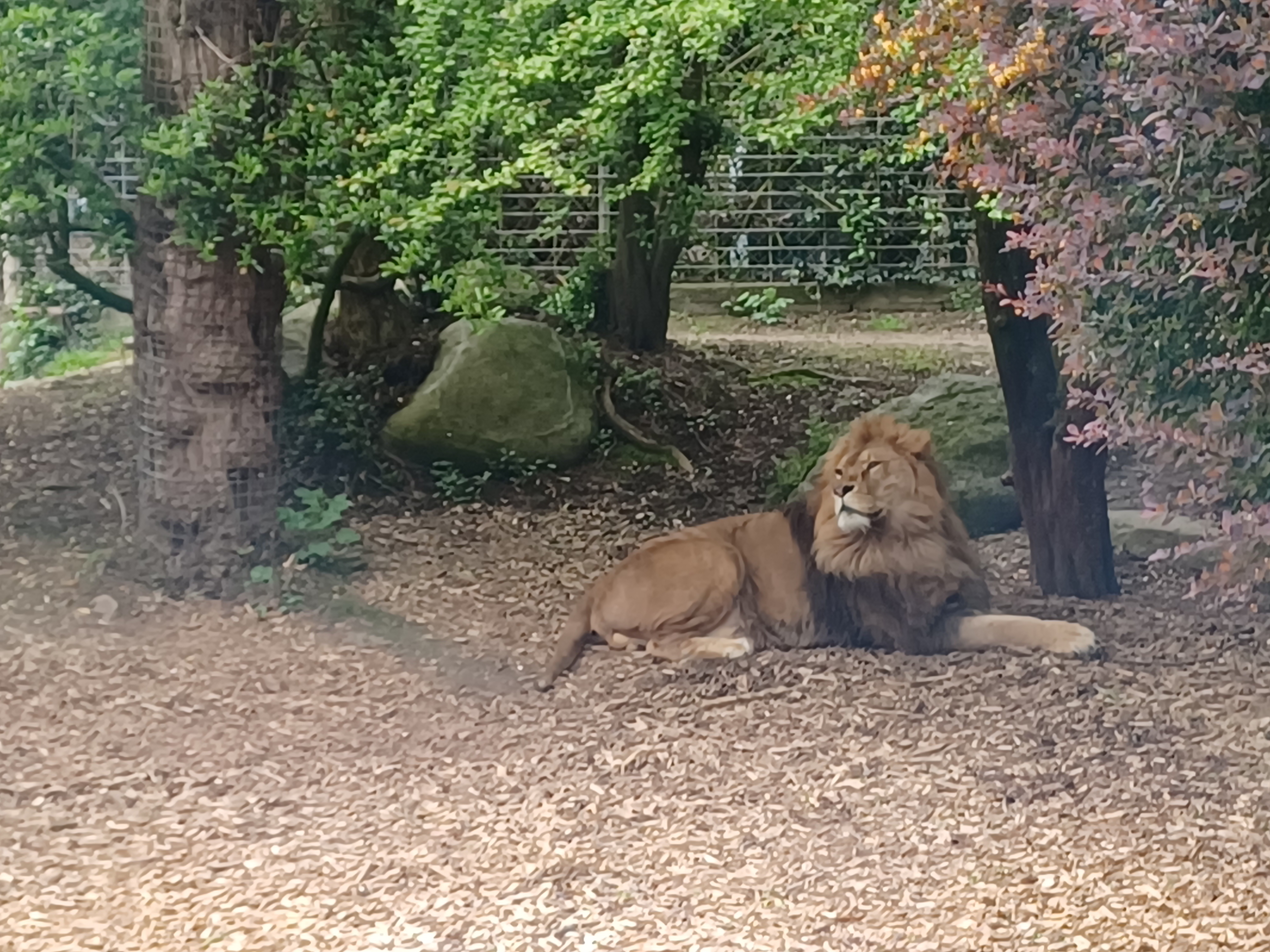 Photo n° 4 de l'avis de O.o fait le 28/04/2023 à 18:27
