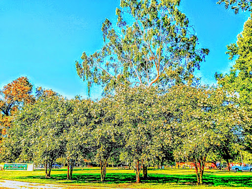 Park «Thomas Burton Park», reviews and photos, 16490 Santa Bianca Dr, Hacienda Heights, CA 91745, USA