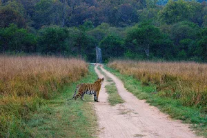 Jim Corbett Park image