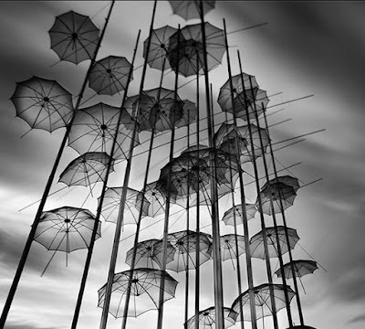 PHOX Art et Photo à Gap