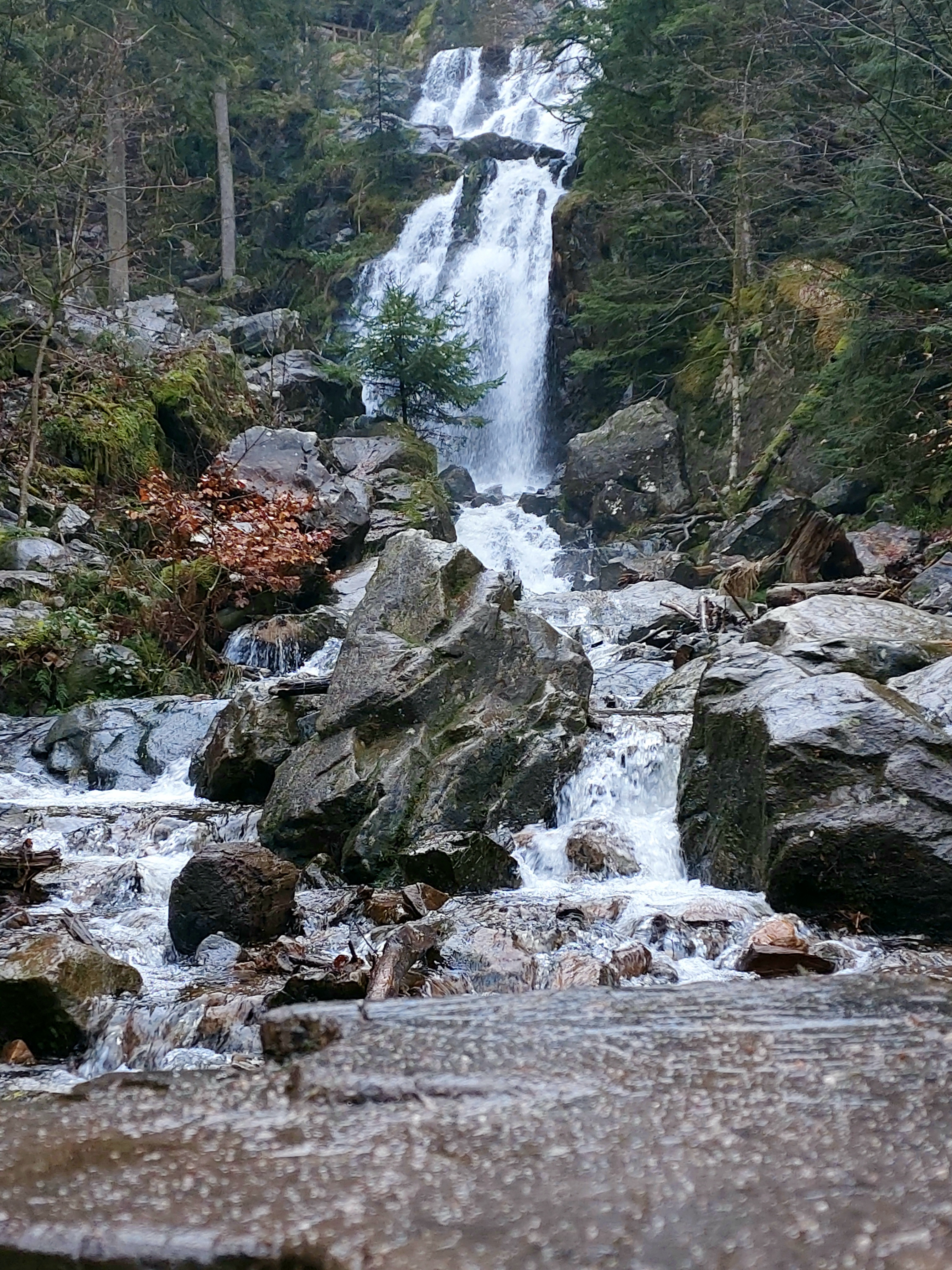 Photo n° 2 de l'avis de Baptiste.o fait le 28/12/2023 à 11:32