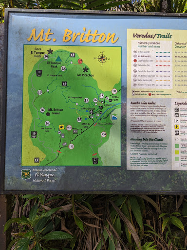 Hair Salon «Earnestly Natural Hair Care», reviews and photos, 10810 Emerald Club Ct, Raleigh, NC 27617, USA