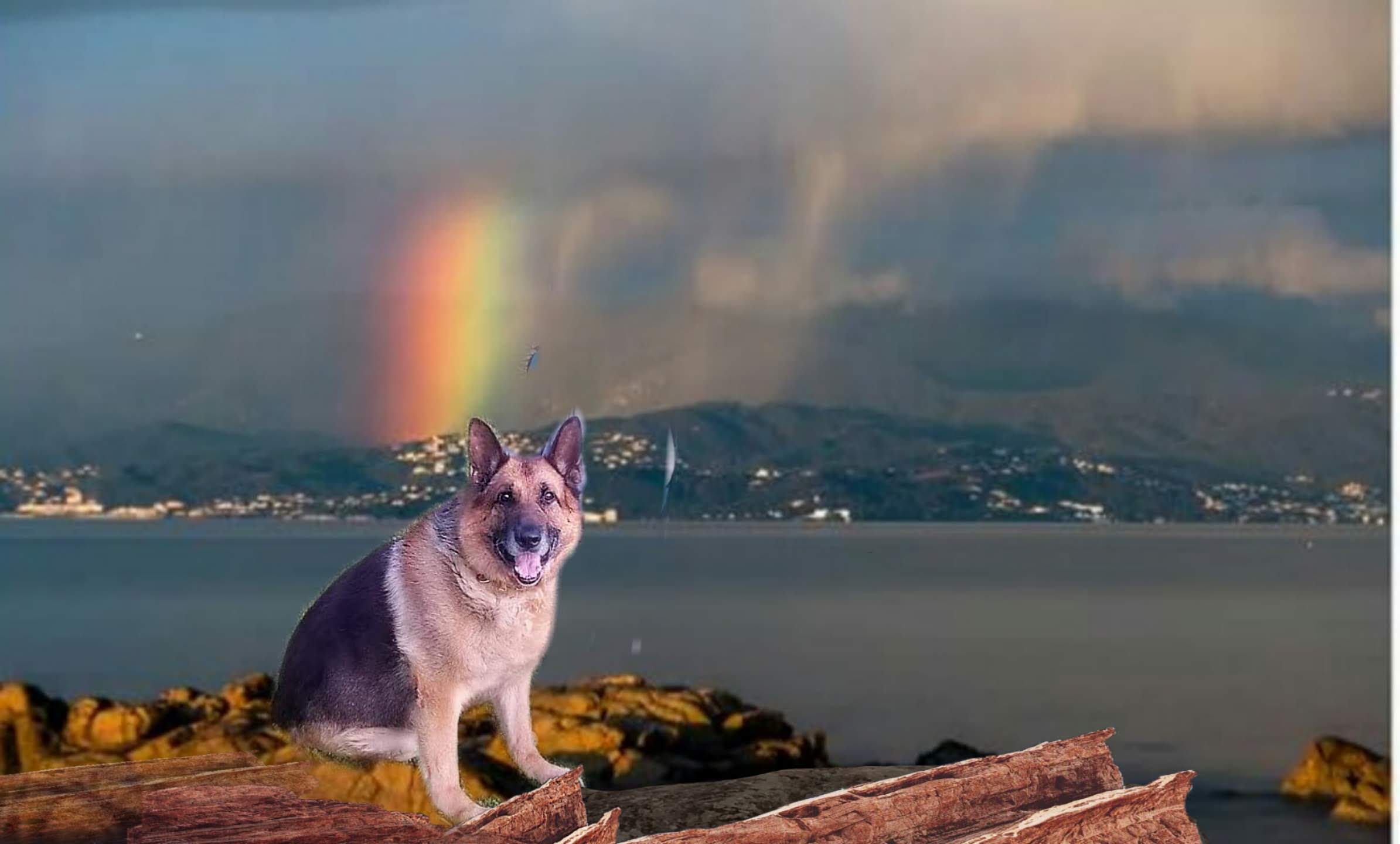 Photo n° 4 de l'avis de Pierre.o fait le 20/04/2019 à 14:24