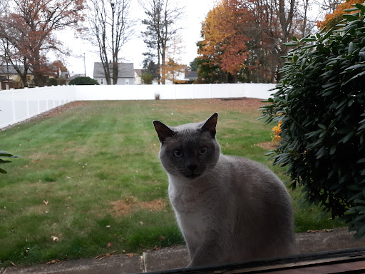 1094 N Church St, Hazleton, PA 18202, USA