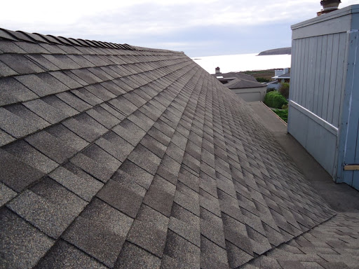 Stephen Curley Roofing