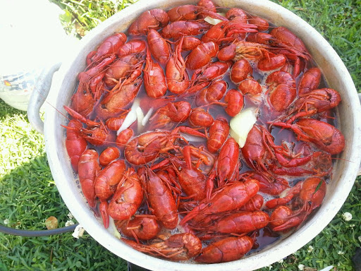 Seafood Market «Long Beach Seafood», reviews and photos, 19009 Commission Rd, Long Beach, MS 39560, USA