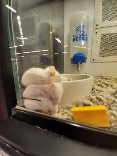 Pet Supply Store «Petco Animal Supplies», reviews and photos, 1243 N Peachtree Pkwy, Peachtree City, GA 30269, USA