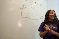 Frog Tutoring San Francisco - Photo 4 - Car repair in , San Francisco