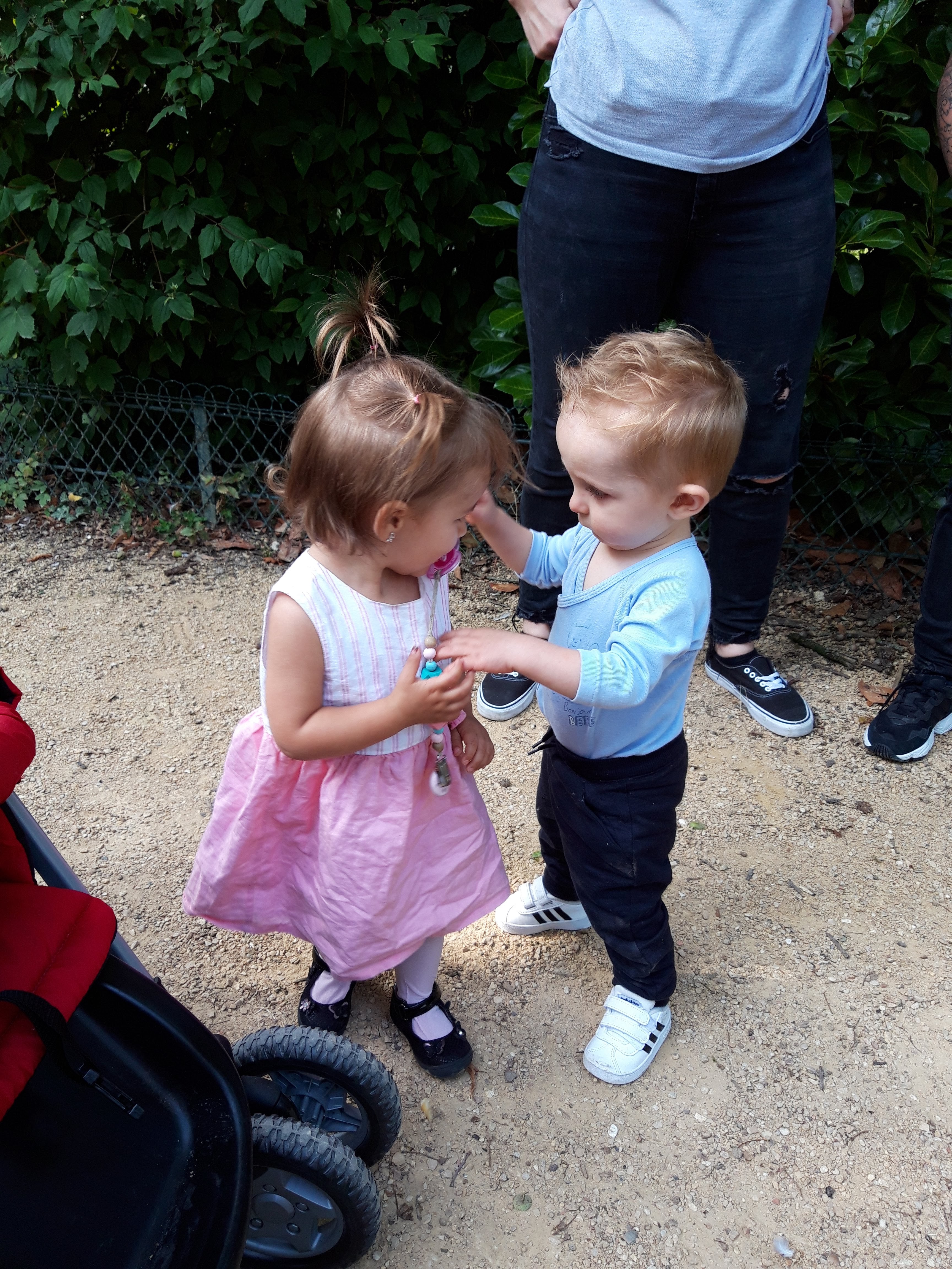 Photo n° 4 de l'avis de Johanne.a fait le 23/08/2019 à 06:07