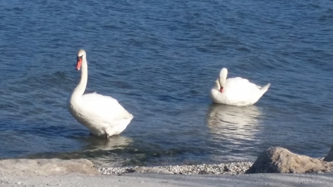 Le Havane à Martigues