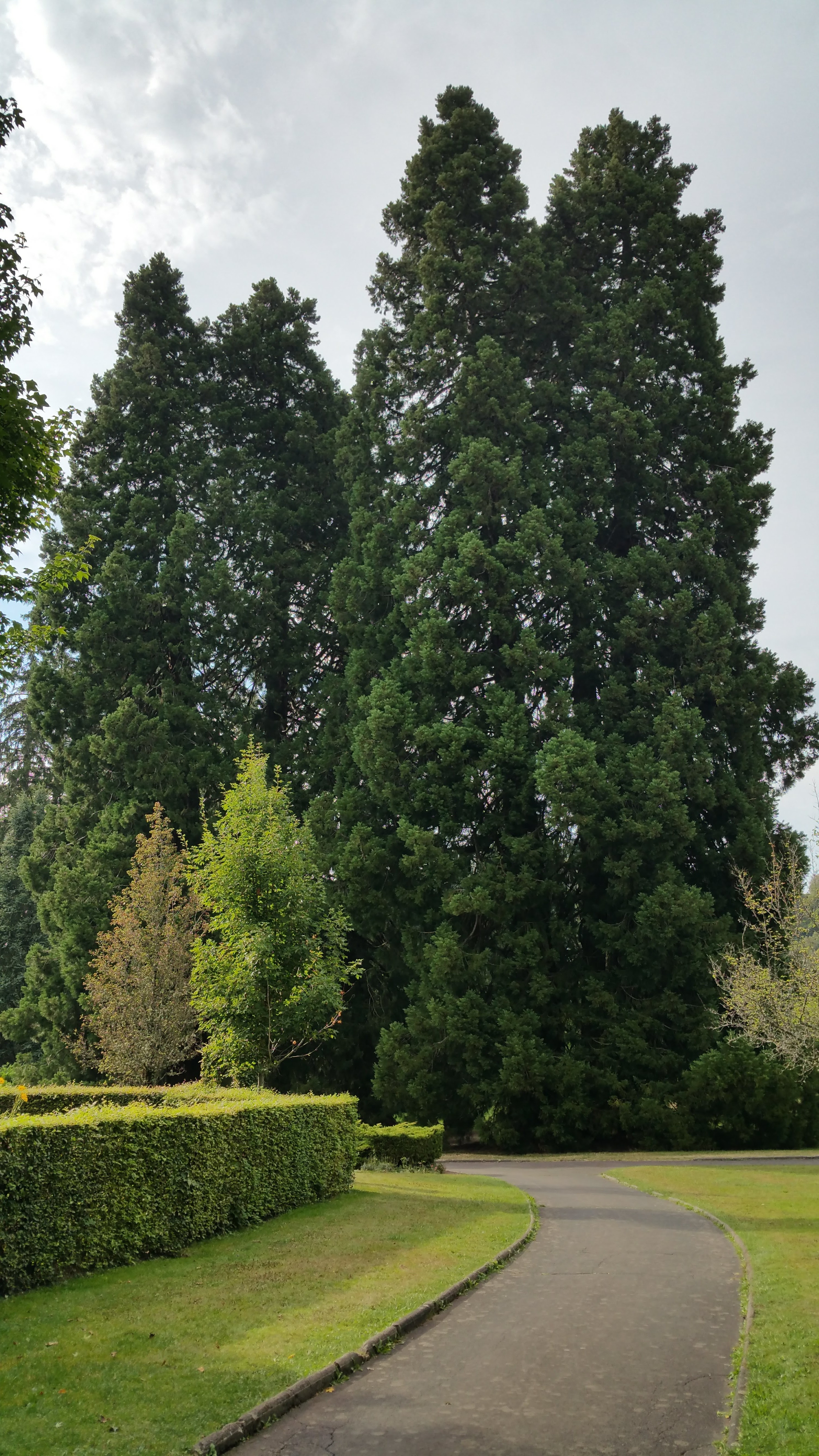 Photo n° 1 de l'avis de Yannick.a fait le 22/08/2018 à 18:23
