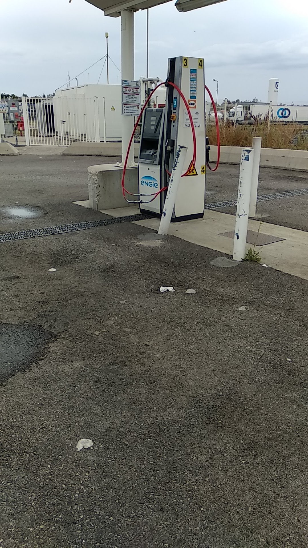 Photo n° 12 de l'avis de Ruchi. fait le 14/08/2022 à 14:23