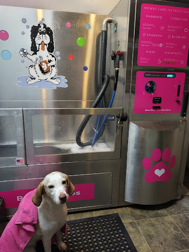 Pet Groomer «Belly scRubs Self Service Pet Wash», reviews and photos, 119 WV-34 #1, Hurricane, WV 25526, USA