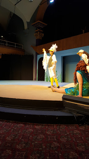 Performing Arts Theater «Schenectady Light Opera Co», reviews and photos, 427 Franklin St, Schenectady, NY 12305, USA