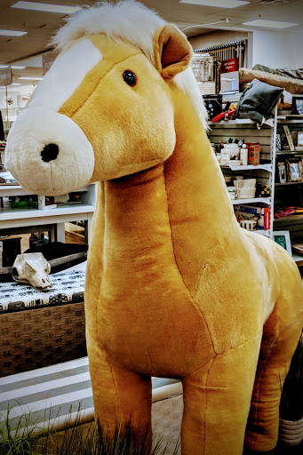 Department Store «Marshalls & HomeGoods», reviews and photos, 4950 Hadley Center Dr, South Plainfield, NJ 07080, USA