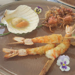 Photo n°6 de l'avis de Duck.o fait le 20/07/2023 à 11:17 sur le  Marè - spiaggia e cucina à Chioggia