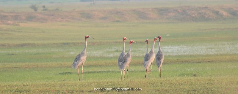 Buriram, Tayland