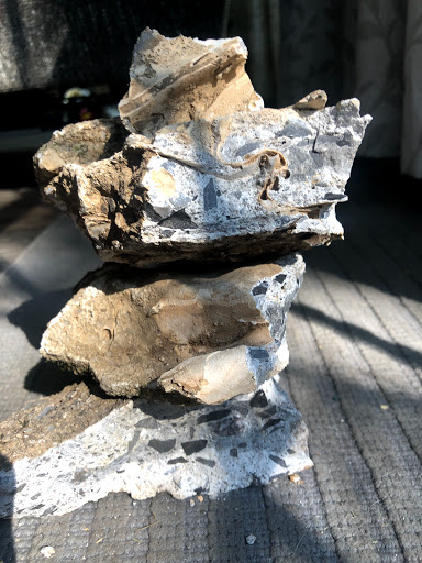 Department Store «Rural King», reviews and photos, 9525 Collinsville Rd, Collinsville, IL 62234, USA