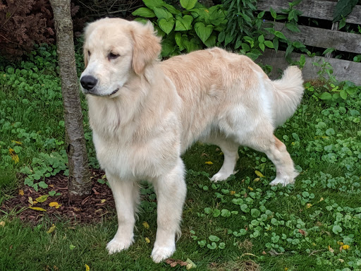 Pet Supply Store «Pet Supplies Plus», reviews and photos, 6030 Central Ave Suite A, Portage, IN 46368, USA