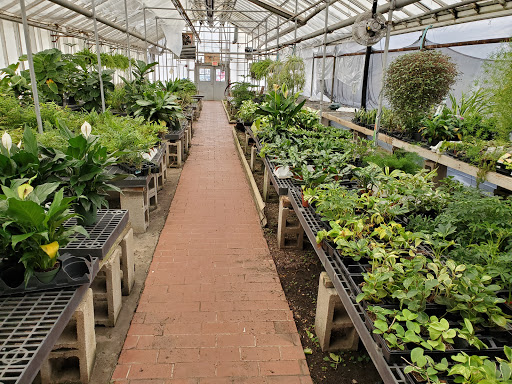 Florist «Kinsch Village Florist & Garden Center», reviews and photos, 301 Johnson St, Palatine, IL 60067, USA