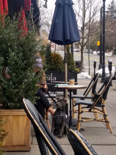 Florist «Englewood Florist, Inc.», reviews and photos, 47 E Palisade Ave, Englewood, NJ 07631, USA