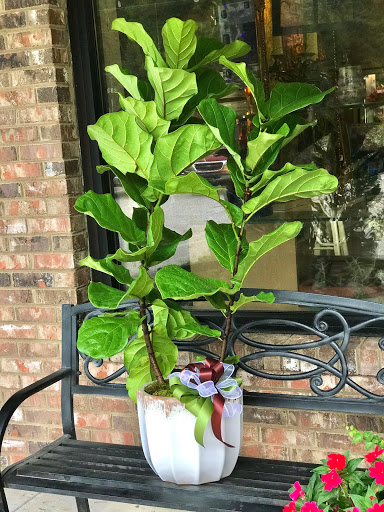 Florist «Bedazzled Flower Shop», reviews and photos, 6549 GA-54, Sharpsburg, GA 30277, USA