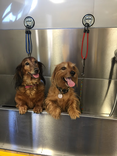 My Pookie's Spaw | Mobile Grooming